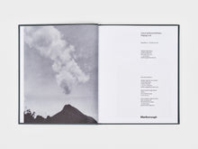 Load image into Gallery viewer, Laura Anderson Barbata: Singing Leaf