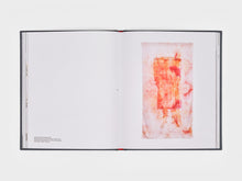 Load image into Gallery viewer, Laura Anderson Barbata: Singing Leaf